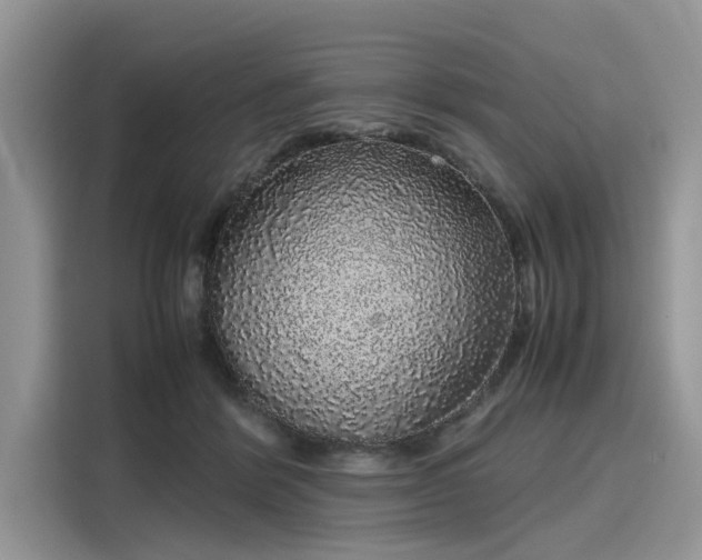 X0000116100412200911301107