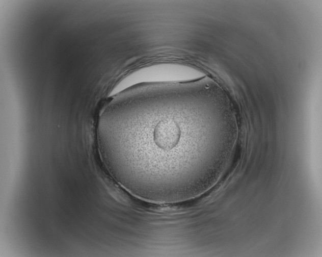 X0000116100413200911301107