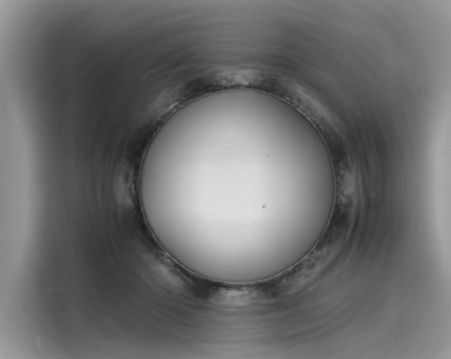 X0000116100414200911301106