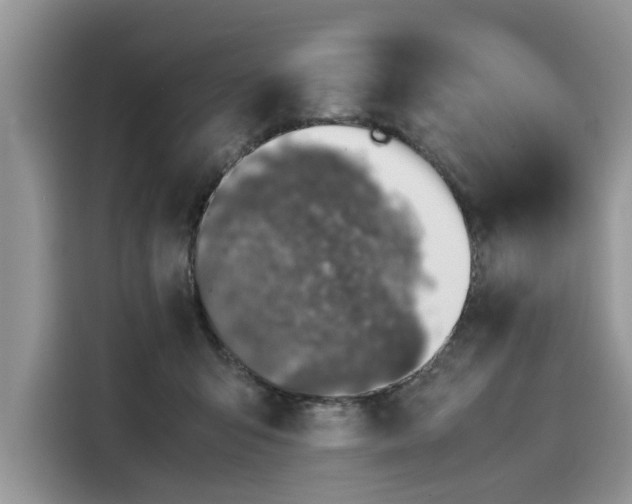 X0000116100415200911301106