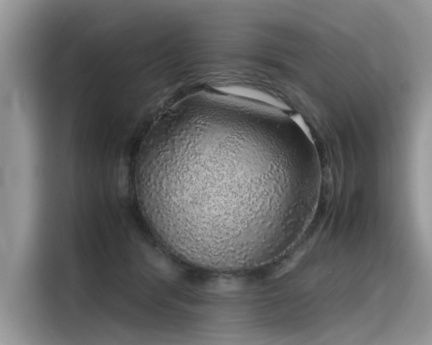 X0000116100416200911301106