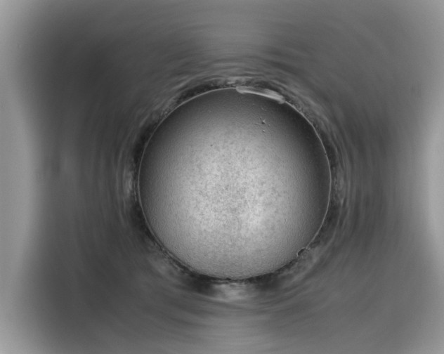 X0000116100417200911301106