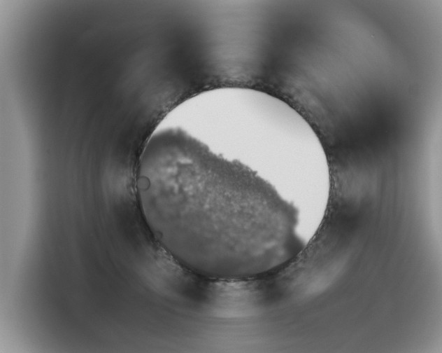 X0000116100419200911301106