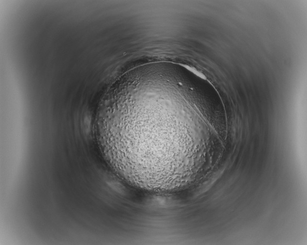 X0000116100420200911301106