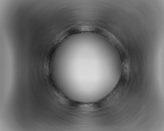 X0000116100422200911301106