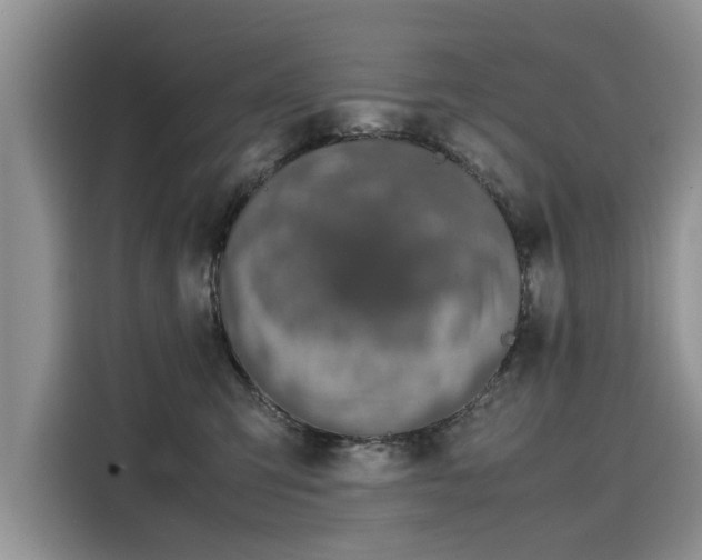 X0000116100423200911301106