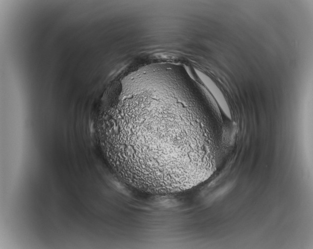 X0000116100424200911301106