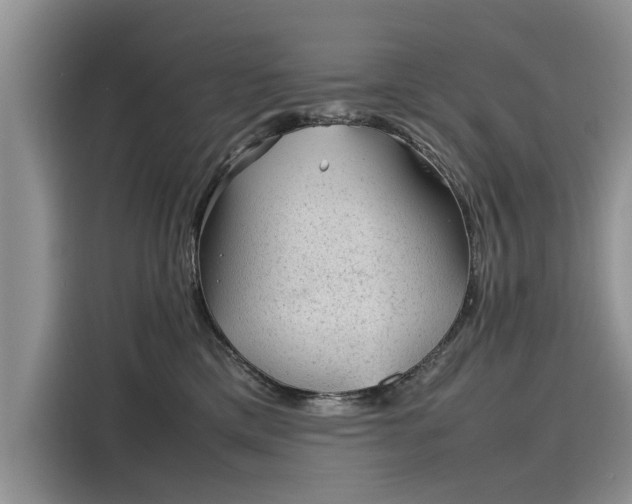 X0000116100425200911301106