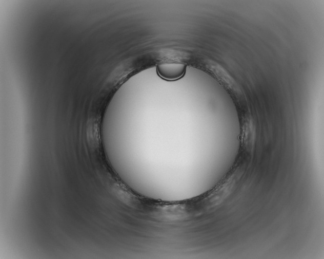 X0000116100426200911301106