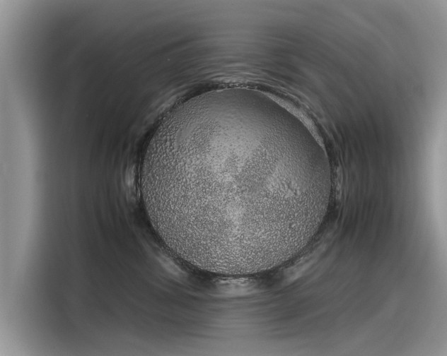 X0000116100428200911301106