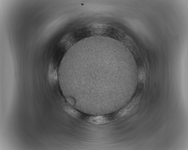 X0000116100431200911301106