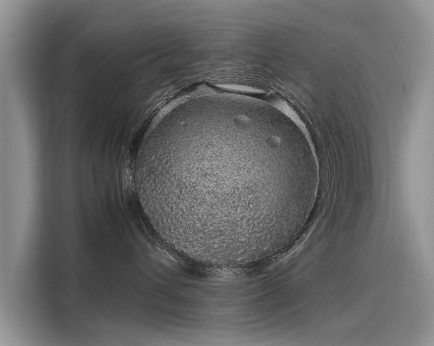 X0000116100432200911301106