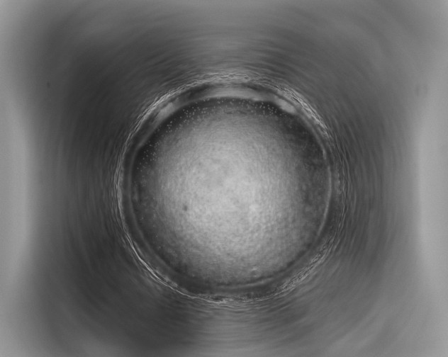 X0000116100434200911301106