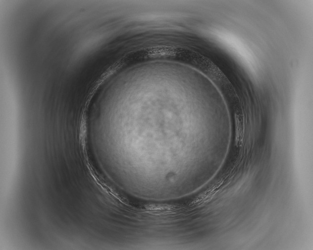 X0000116100435200911301106