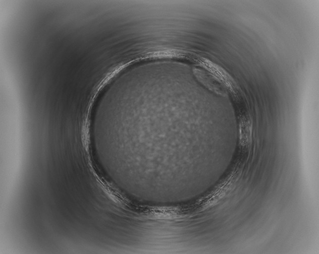 X0000116100436200911301106