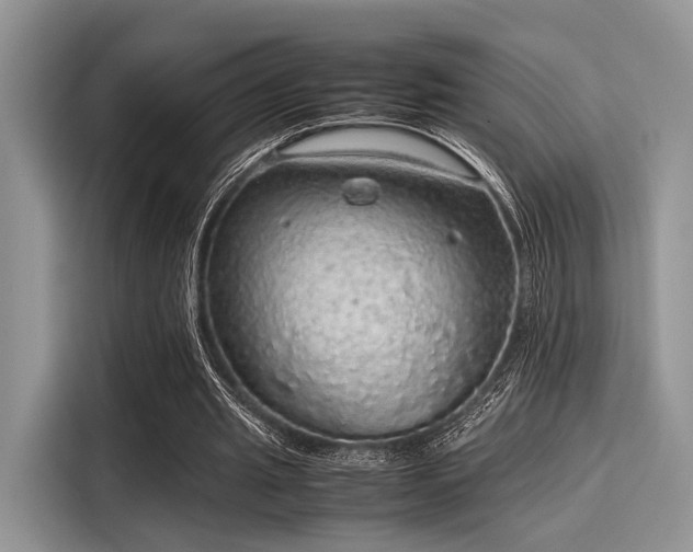 X0000116100437200911301106