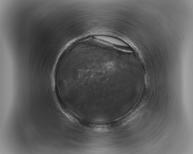 X0000116100438200911301106