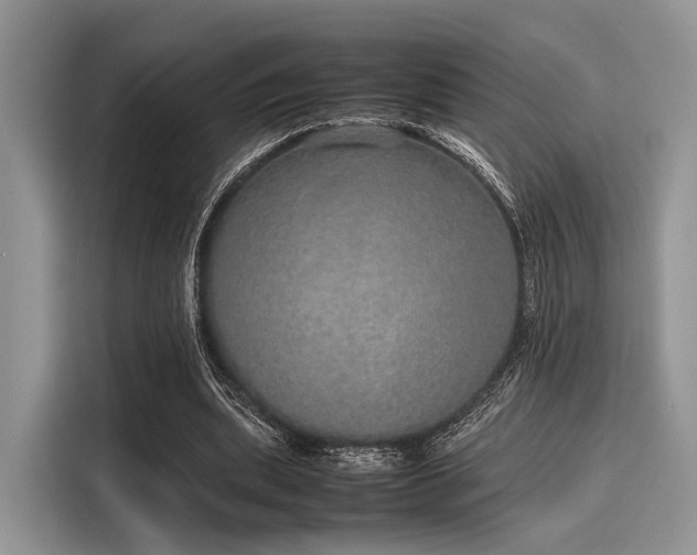 X0000116100439200911301106