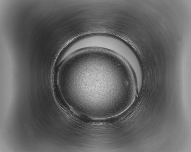 X0000116100440200911301106