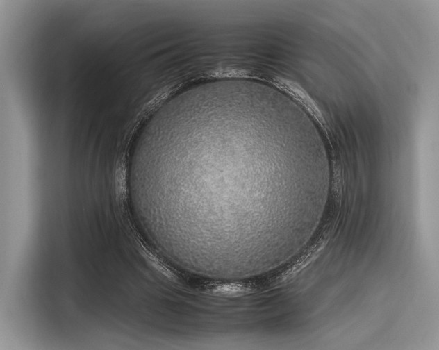 X0000116100441200911301106