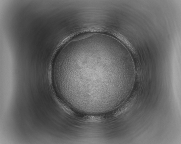 X0000116100442200911301106