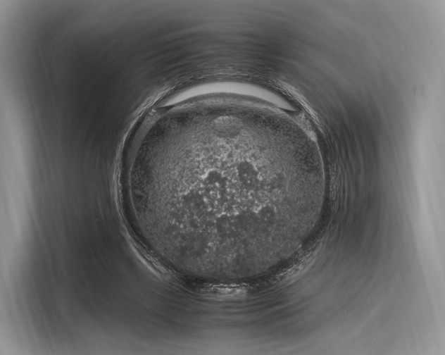 X0000116100443200911301106