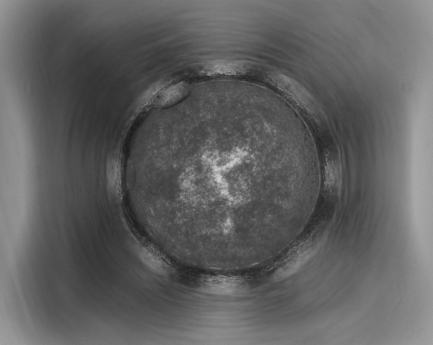 X0000116100444200911301106