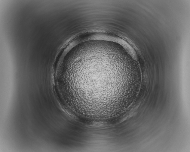 X0000116100446200911301106