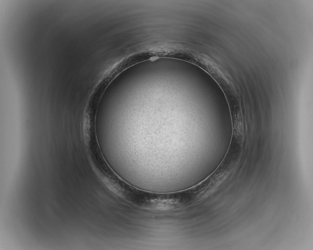 X0000116100448200911301106