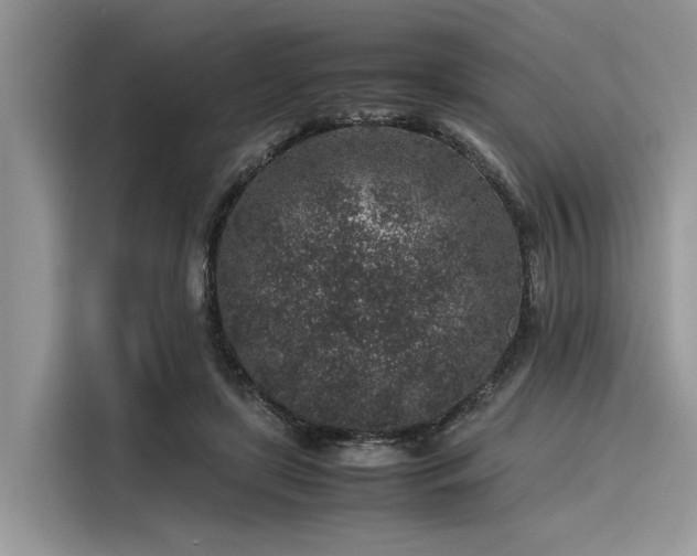 X0000116100451200911301106