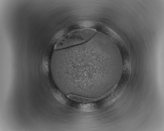 X0000116100452200911301106