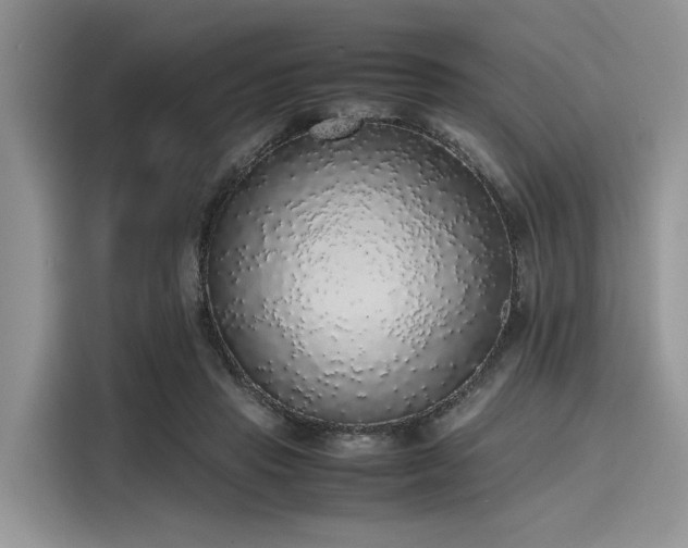 X0000116100453200911301106