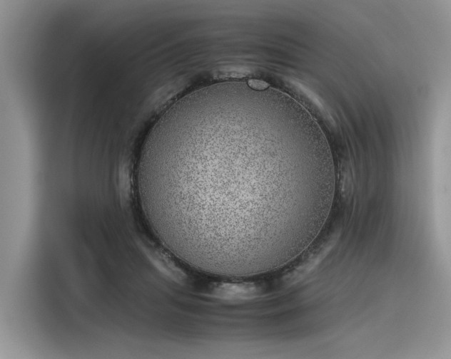 X0000116100455200911301106