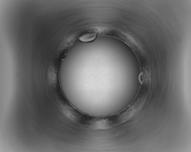 X0000116100456200911301106