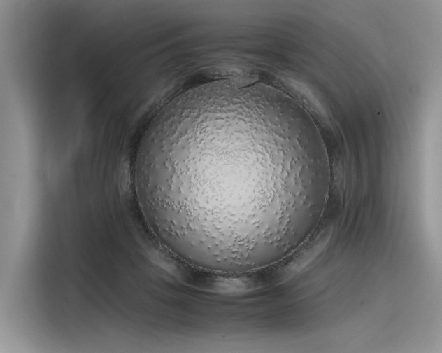 X0000116100457200911301106