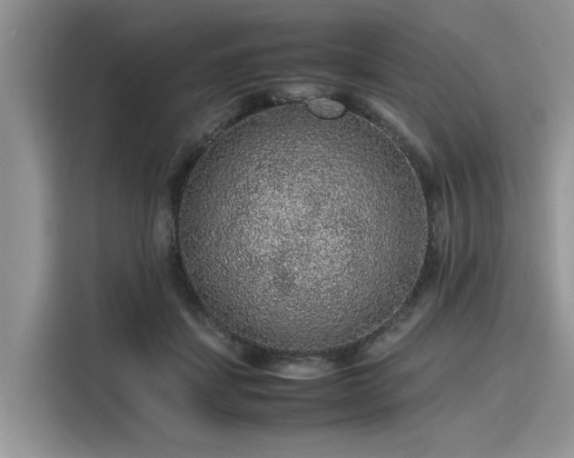 X0000116100459200911301106