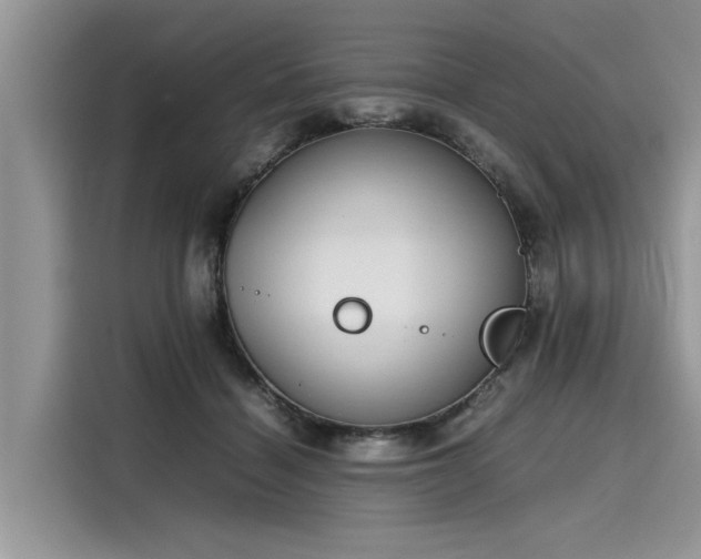 X0000116100460200911301106