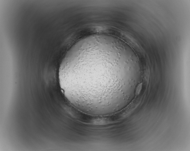 X0000116100461200911301106