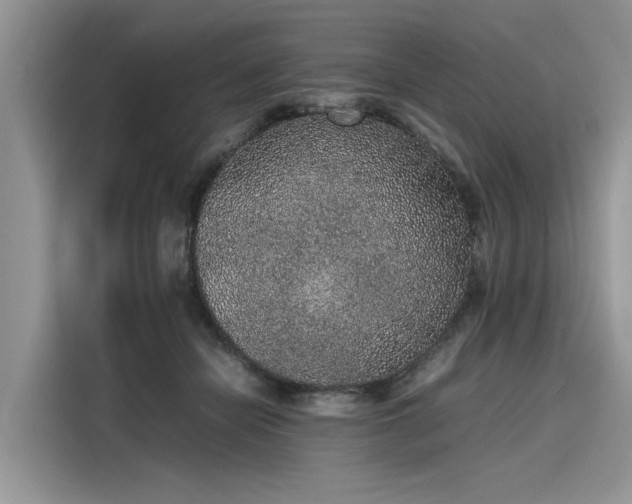 X0000116100462200911301106