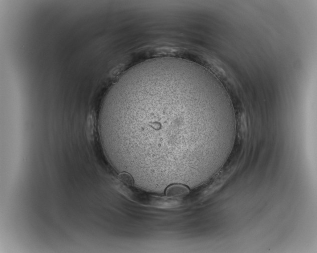 X0000116100463200911301106