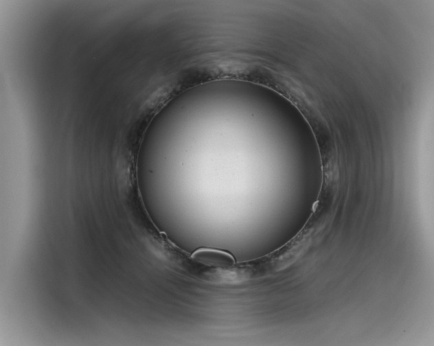 X0000116100464200911301106