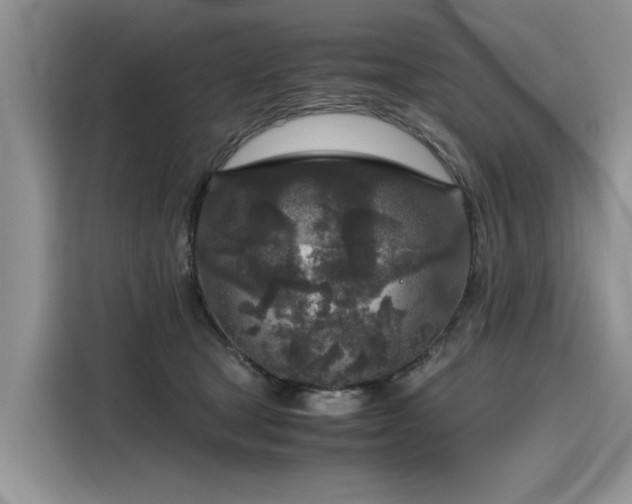 X0000116100465200911301106