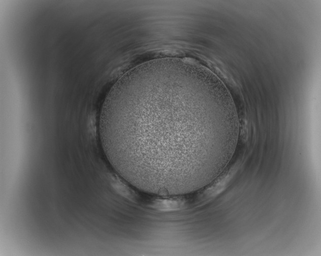 X0000116100466200911301106