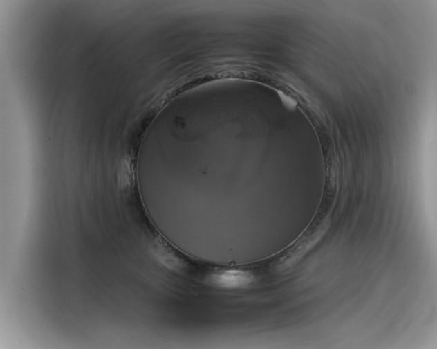 X0000116100467200911301106