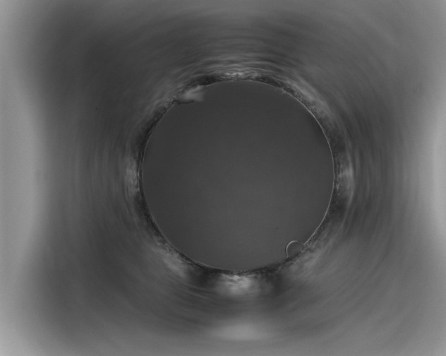 X0000116100469200911301106