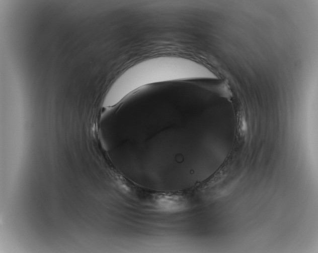 X0000116100471200911301106