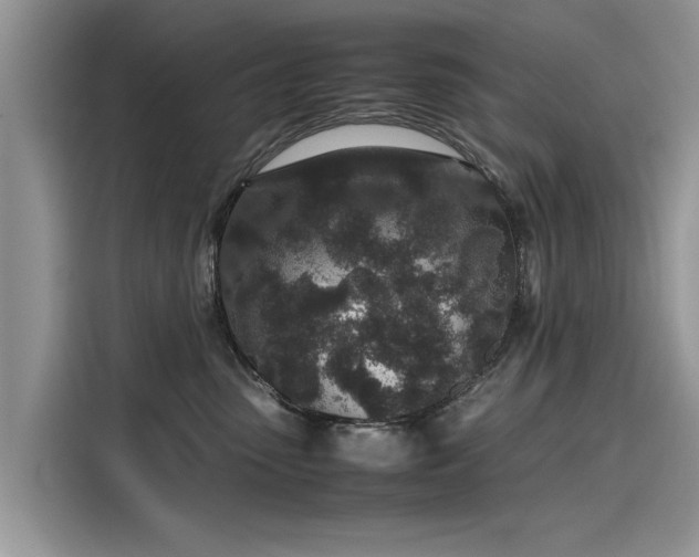 X0000116100475200911301106