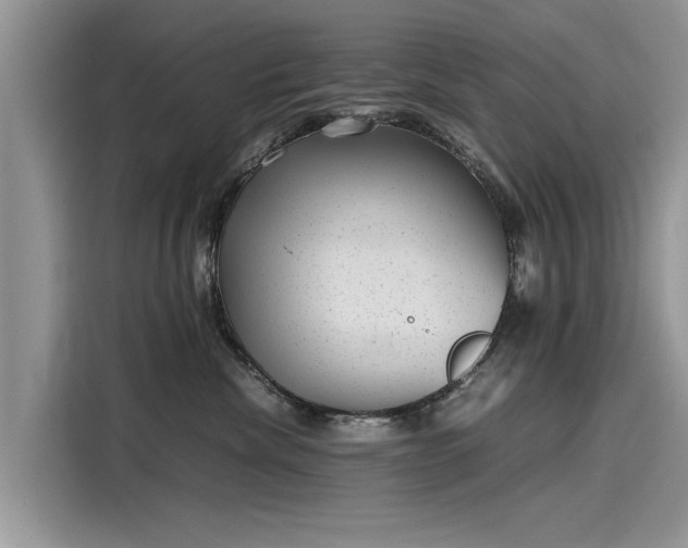 X0000116100476200911301106