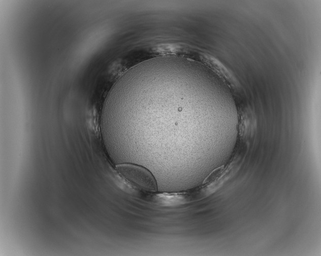 X0000116100477200911301106