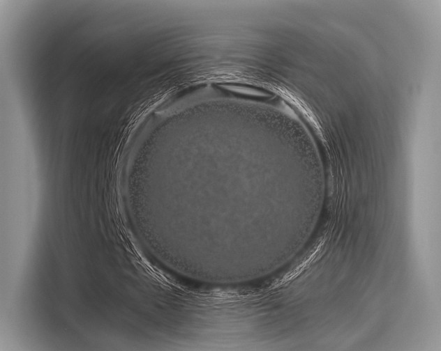 X0000116100481200911301106